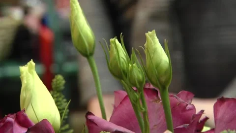Young shoots of spruce branches lie on the table for further decoration Video stock 105072060