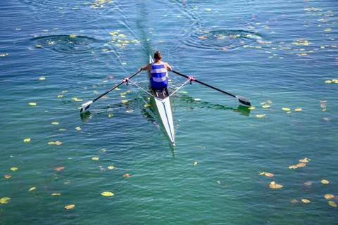 A Young single scull rowing competitor paddles on the tranquil lake Stock Photos