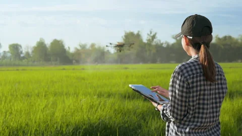 Young smart farmer controlling drone spraying fertilizer and pesticide over f Vidéo 170237205