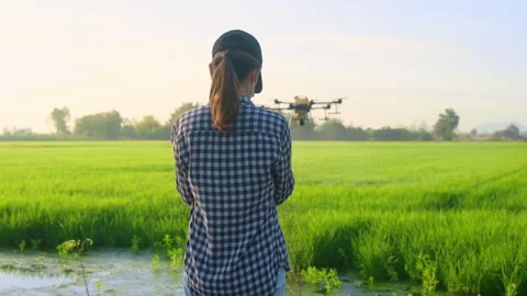 Young smart farmer controlling drone spraying fertilizer and pesticide over f Vídeo Stock 170237454