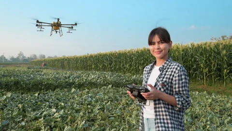 Young smart farmer controlling drone spraying fertilizer and pesticide over f Stock Footage 170566823