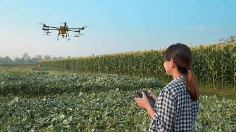 Young smart farmer controlling drone spraying fertilizer and pesticide over f 库存影片 170567724