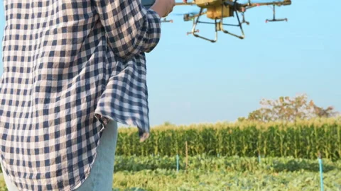 Young smart farmer controlling drone spraying fertilizer and pesticide over f Vídeos de archivo 170568832