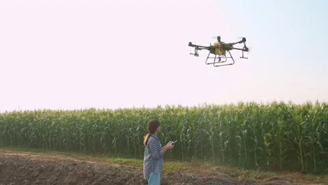 Young smart farmer controlling drone spraying fertilizer and pesticide over f Stock-Footage 170569150