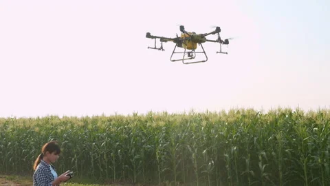 Young smart farmer controlling drone spraying fertilizer and pesticide over f Vídeos de archivo 170569157