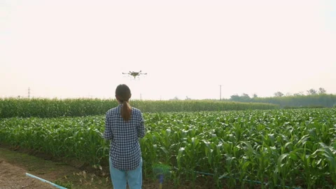 Young smart farmer controlling drone spraying fertilizer and pesticide over f 库存影片 170569345