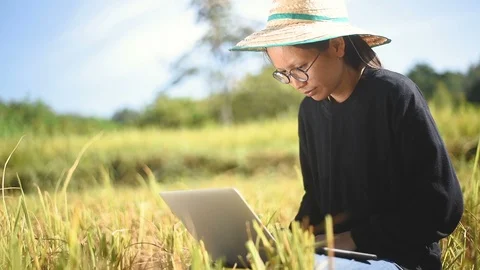 Young smart farmer using computer laptop Stock Footage 97857533