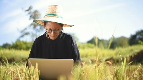 Young smart farmer using computer laptop Stock Footage 97857546