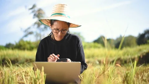Young smart farmer using computer laptop Vidéo 97857571