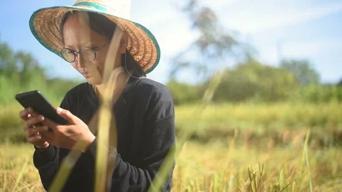 Young smart farmer using smartphone check price Видео 97857495