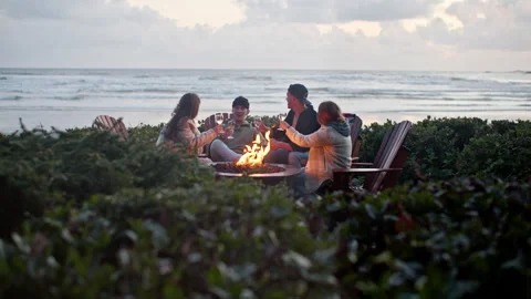 Young smiling friends around fire cheersing wine glasses at sunset, by ocean 库存影片 206470814