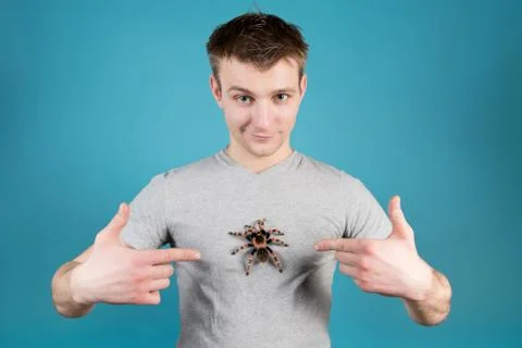 A young smiling guy points to a huge spider that sits on his chest Stock Photos