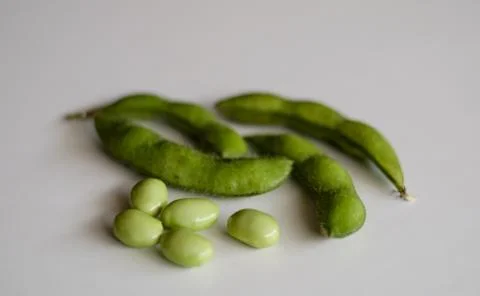 Young soy beans Stock Photos