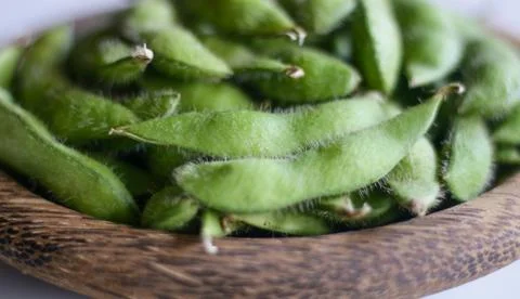 Young soy beans Stock Photos