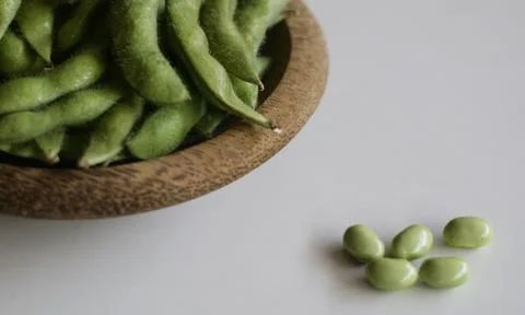 Young soy beans Stock Photos