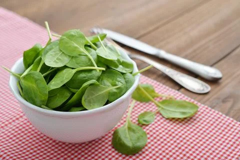 Young spinach Stock Photos
