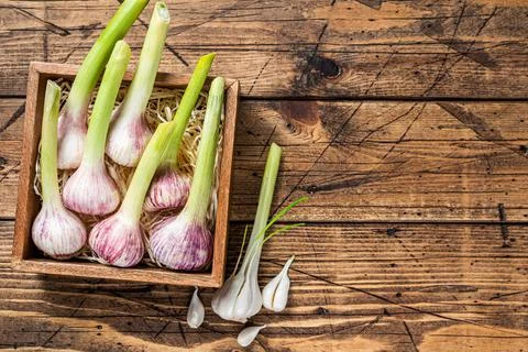Young Spring garlic bulbs and cloves in wooden box. Wooden background. Top view Stock Photos