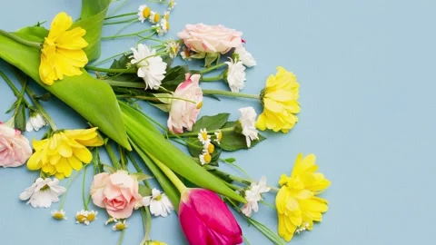 Young spring multicolored bouquet of beautiful flowers lie on a pastel blue Stock Footage 156935312