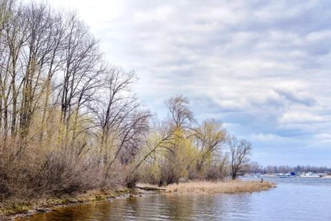Young Spring River Фото