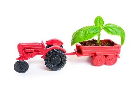 Young Sprout in the Back of a Toy Tractor Stock-Fotos