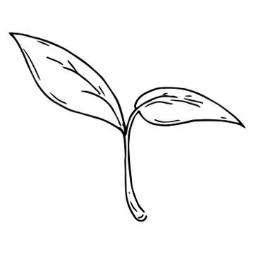 Young sprout icon. Vector illustration of a young plant for spring planting.  Stock Illustration