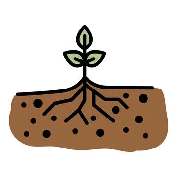 Young sprout with root icon color outline vector Stock Illustration
