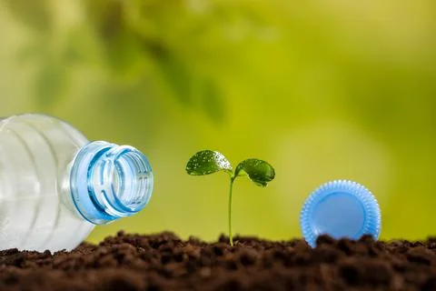 Young sprout surrounded by plastic, concept, environmental pollution Foto stock