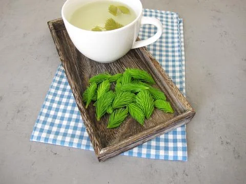 Young spruce tips tea Stock-Fotos