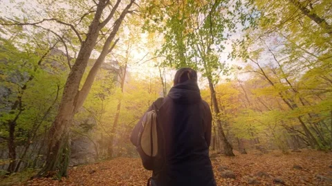 Young standing into the autumn forest Vidéo 292635003