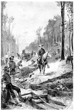 Young starter was clearing large tracts of land, vintage engravi Stock Illustration