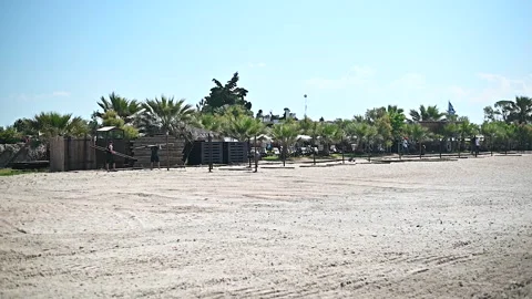 Young strong man workers preparing beach bar for summer season Видео 202175303