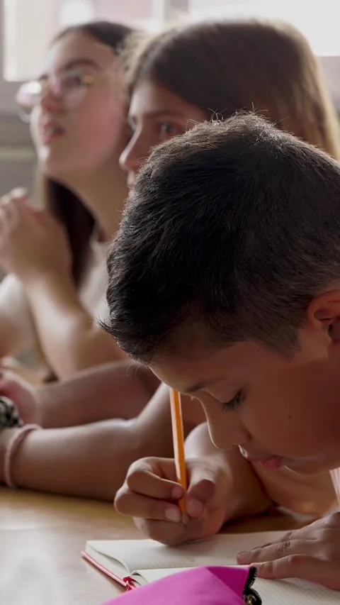Young student concentrating on studying in classroom Stock Footage 310778695