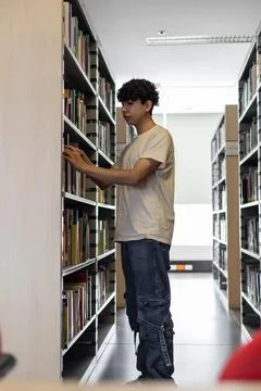 Young student, front-facing, absorbed in his reading. Stock Photos