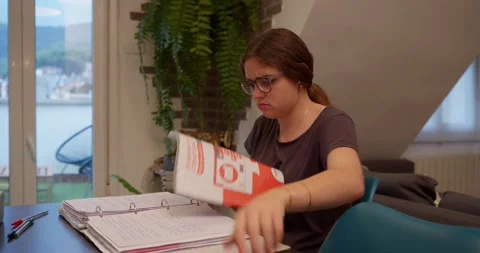 A young student is immersed in her studies. Stock Footage 334776123