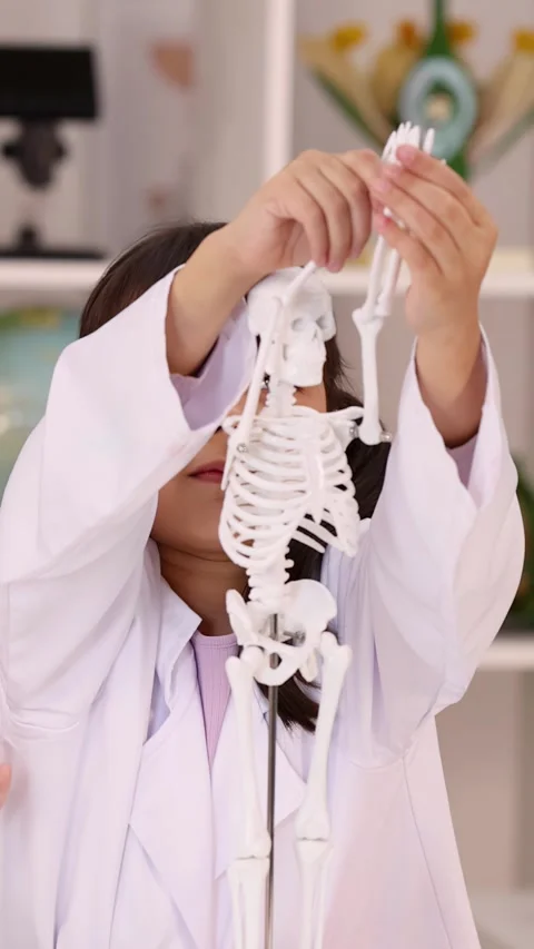 Young Student in Lab Coat Examining Human Skeleton Model in Science Classroom Stock Footage 346282804