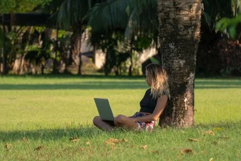 Young student sitting under tree in summer park, girl is preparing for seminar, Stock Photos