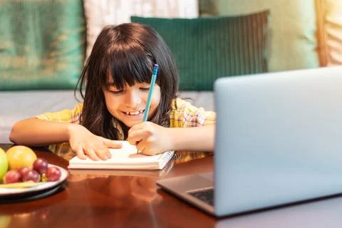 Young student using laptop computer for studying class lesson online from home Stock Photos