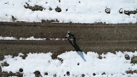 Young Student Walking Stock Footage 294966833