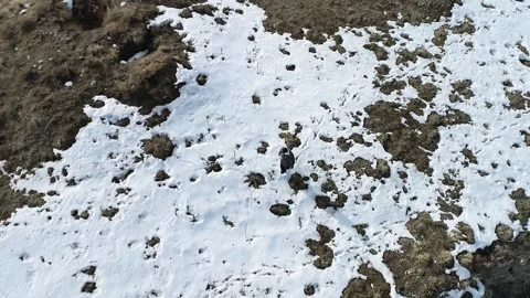 Young Student Walking Stock Footage 294966920