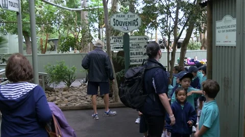 Young Students At Featherdale Wildlife Park, Sydney, Australia Stock Footage 158921053