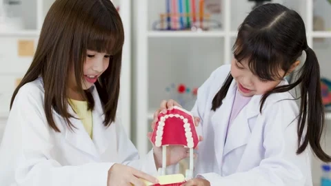 Young Students in Lab Coats Practicing Brushing Teeth on Dental Model Stock Footage 340324079