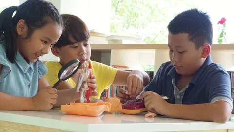 Young students learning about human body from model Stock Footage 90249238