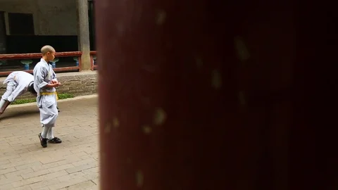 Young students practicing Kung fu Stock Footage 88829083