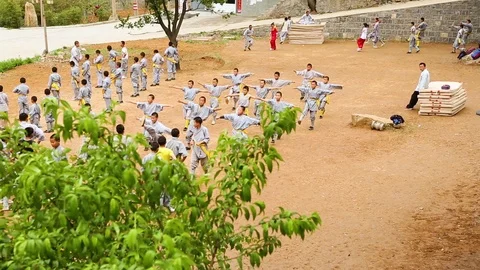 Young students training Kung fu Stockbeeldmateriaal 88677749