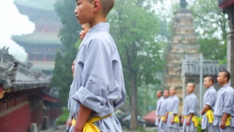 Young students training Kung fu Video stock 88677850