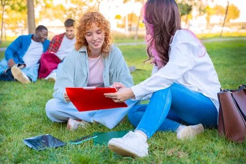 Young students using notebook together while sitting on grass outdoors Stock Photos