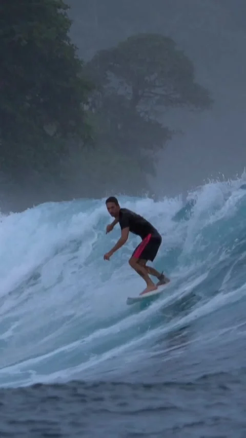 Young surfer on a blue wave.Vertical video Stock Footage 295764190