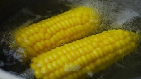 Young sweet corn is boiled in a pot of boiling water. cobs of boiled corn Stock Footage 157925919