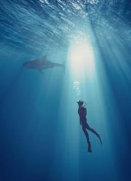 Young swimmer Illustrazione stock