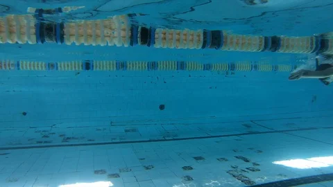 Young swimmer in pool with pure clear water Vidéo 124237047